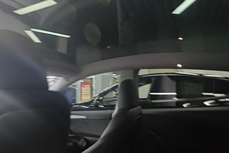 Used Tesla Model Y 2023 High-Performance All-Wheel-Drive Version Headliner