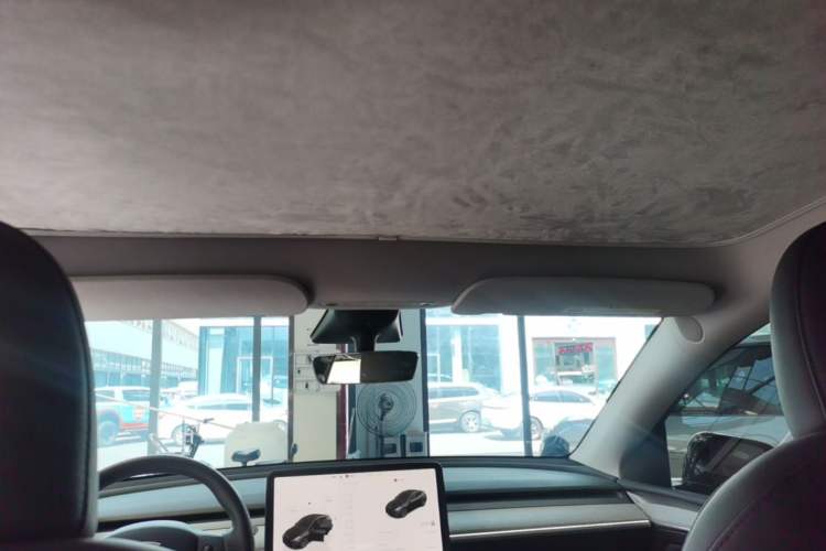 Used Tesla Model Y 2023 Long-Range All-Wheel-Drive Version Headliner