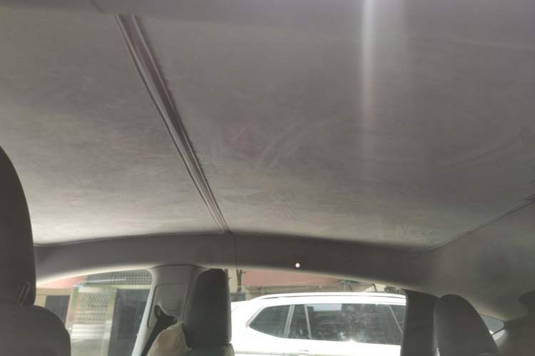 Used Tesla Model Y 2023 Long-Range All-Wheel-Drive Version Headliner