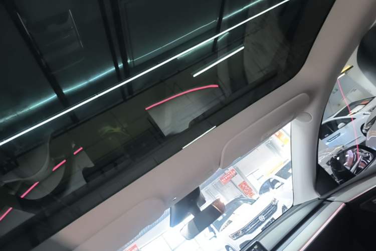 Used Tesla Model Y 2023 Rear-Wheel-Drive Version Headliner