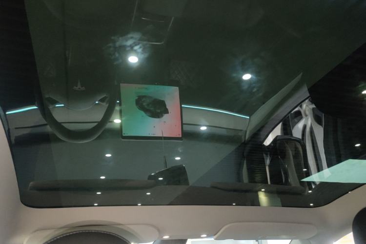 Used Tesla Model Y 2023 Rear-Wheel-Drive Version Headliner