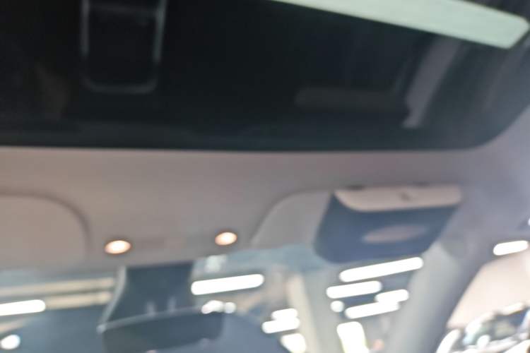 Used Tesla Model Y 2023 Rear-Wheel-Drive Version Headliner