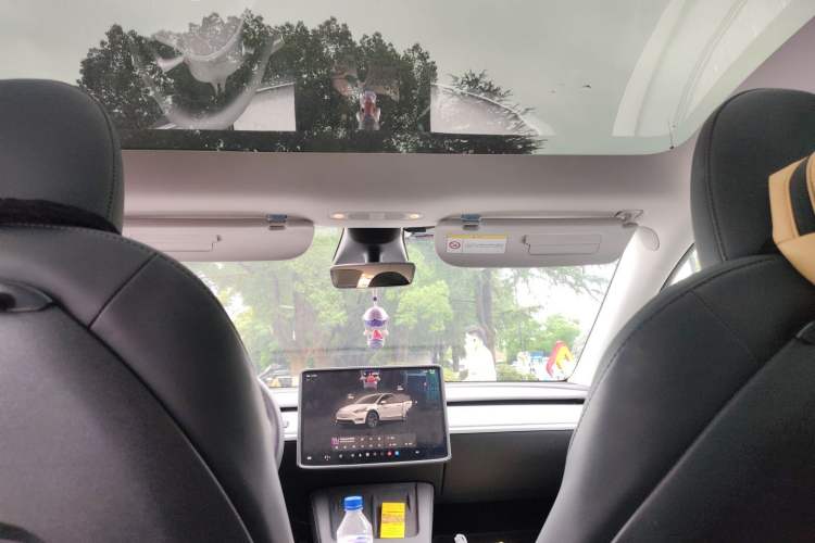 Used Tesla Model Y 2023 Rear-Wheel-Drive Version Headliner