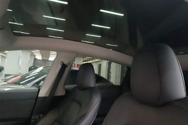 Used Tesla Model Y 2023 Long-Range All-Wheel-Drive Version Headliner