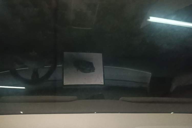 Used Tesla Model Y 2023 Rear-Wheel-Drive Version Headliner