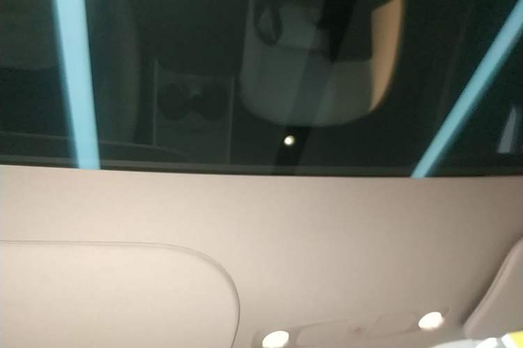 Used Tesla Model Y 2023 Rear-Wheel-Drive Version Headliner