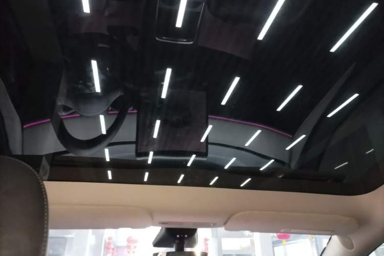 Used Tesla Model Y 2023 Rear-Wheel-Drive Version Headliner