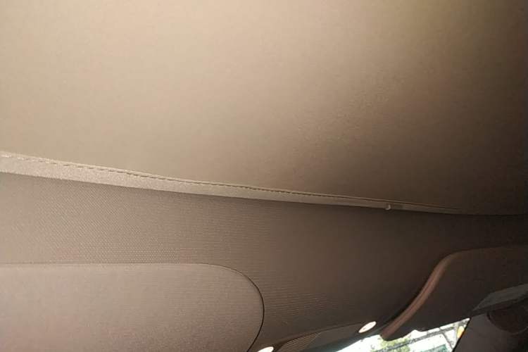 Used Tesla Model Y 2023 High-Performance All-Wheel-Drive Version Headliner