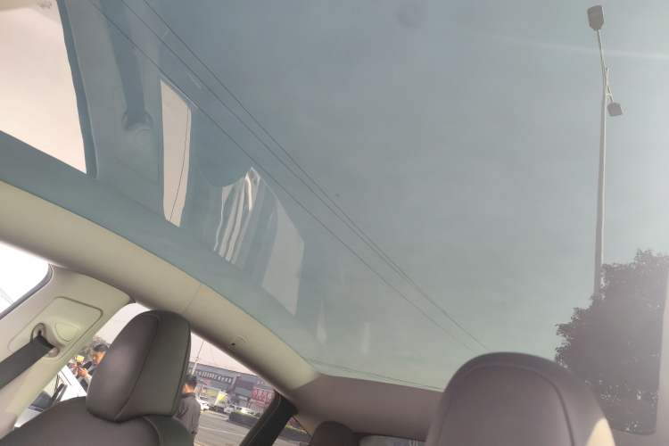 Used Tesla Model Y 2023 Long-Range All-Wheel-Drive Version Headliner
