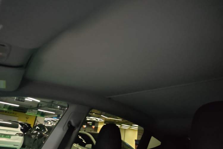 Used Tesla Model Y 2023 Long-Range All-Wheel-Drive Version Headliner