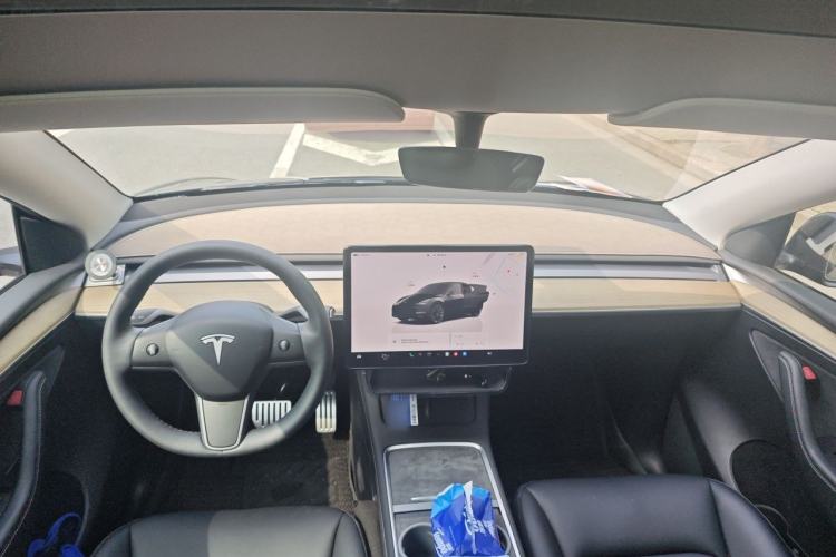 Used Tesla Model Y 2023 Rear-Wheel-Drive Version Headliner