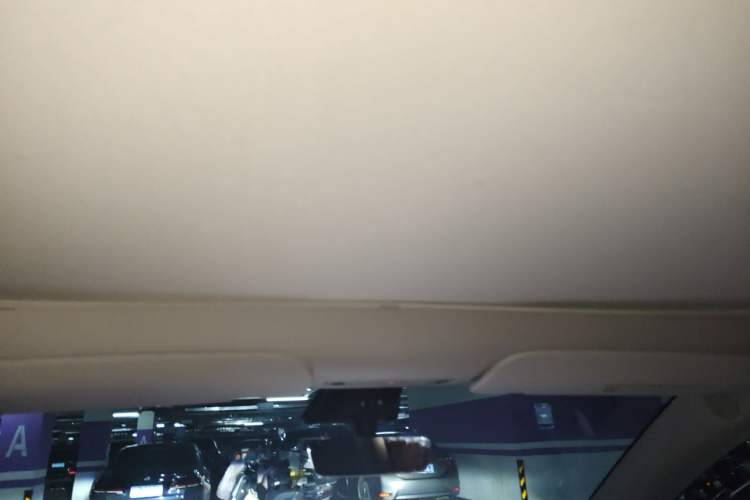 Used Tesla Model Y 2023 Rear-Wheel-Drive Version Headliner