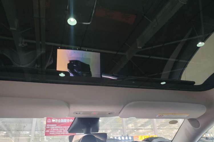 Used Tesla Model Y 2023 Rear-Wheel-Drive Version Headliner