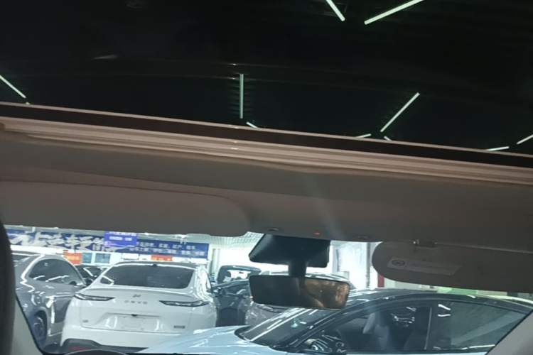 Used Tesla Model Y 2023 Rear-Wheel-Drive Version Headliner