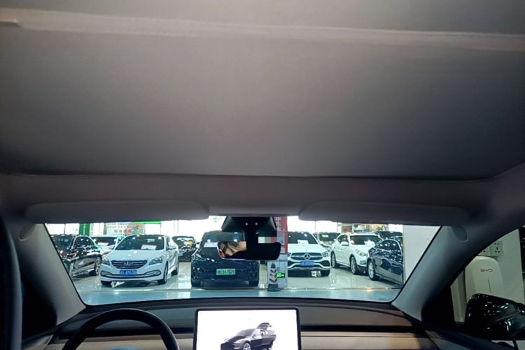 Used Tesla Model Y 2023 Long-Range All-Wheel-Drive Version Headliner