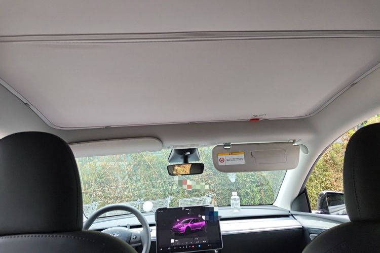 Used Tesla Model Y 2023 Long-Range All-Wheel-Drive Version Headliner