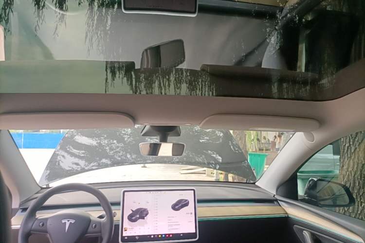 Used Tesla Model Y 2023 Rear-Wheel-Drive Version Headliner