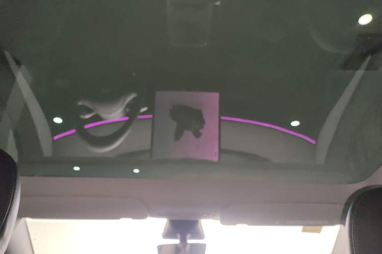 Used Tesla Model Y 2023 Rear-Wheel-Drive Version Headliner