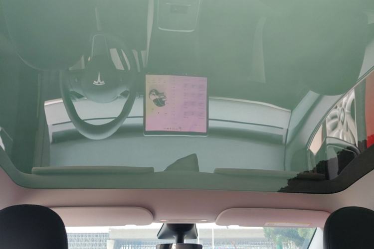 Used Tesla Model Y 2023 Rear-Wheel-Drive Version Headliner