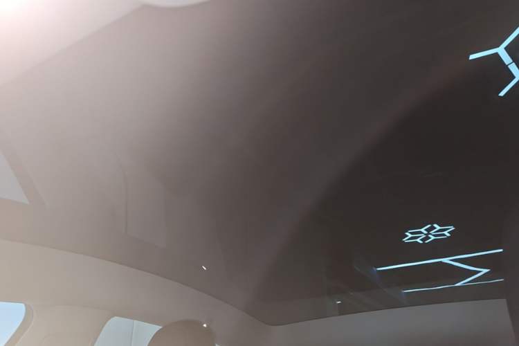 Used Tesla Model Y 2023 Long-Range All-Wheel-Drive Version Headliner