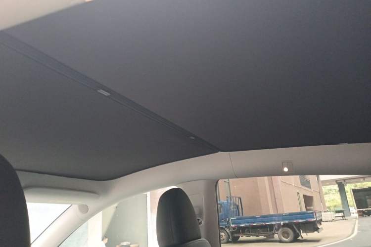 Used Tesla Model Y 2023 Long-Range All-Wheel-Drive Version Headliner