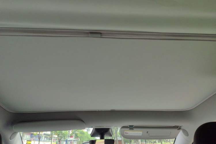 Used Tesla Model Y 2023 Rear-Wheel-Drive Version Headliner