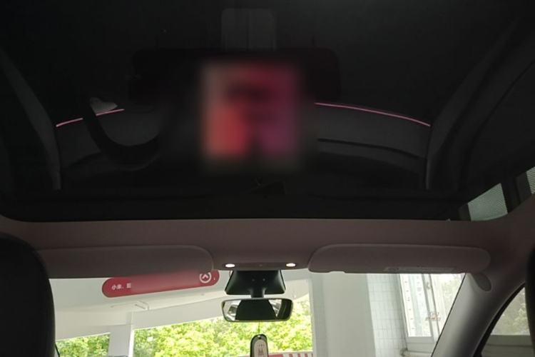 Used Tesla Model Y 2023 Rear-Wheel-Drive Version Headliner