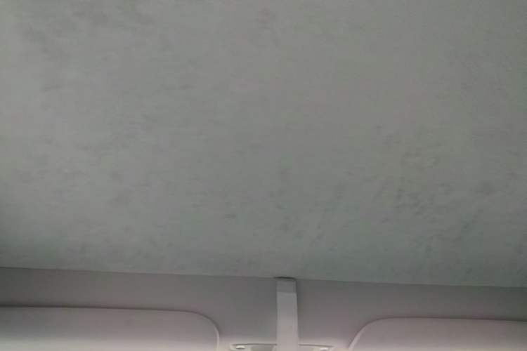 Used Tesla Model Y 2023 Rear-Wheel-Drive Version Headliner