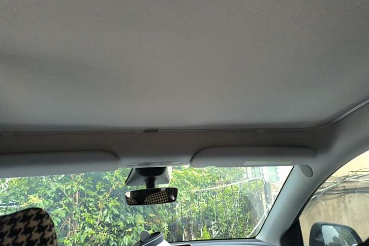 Used Tesla Model Y 2023 Rear-Wheel-Drive Version Headliner