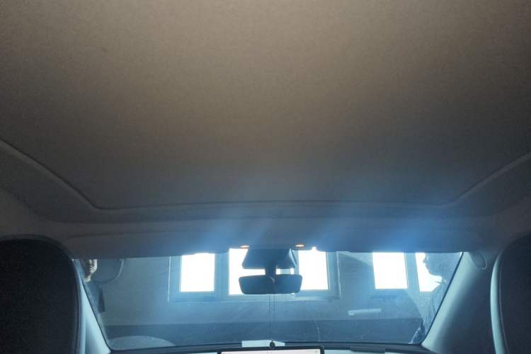 Used Tesla Model Y 2023 Long-Range All-Wheel-Drive Version Headliner