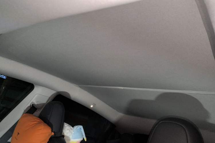 Used Tesla Model Y 2023 Rear-Wheel-Drive Version Headliner