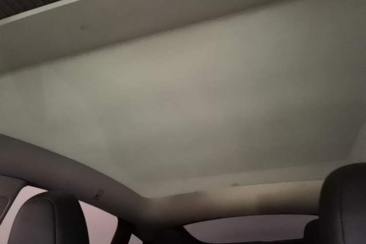 Used Tesla Model Y 2023 Long-Range All-Wheel-Drive Version Headliner