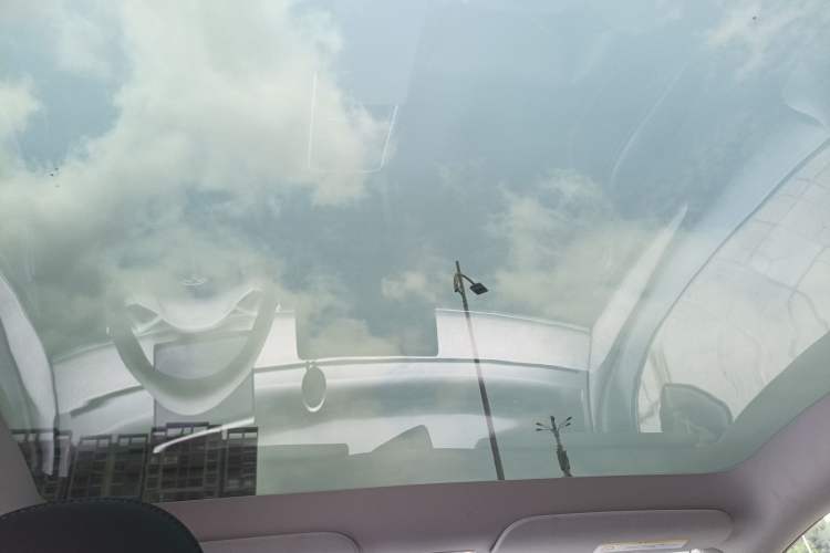 Used Tesla Model Y 2023 Long-Range All-Wheel-Drive Version Headliner