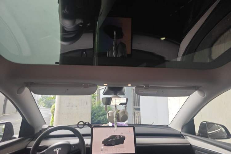 Used Tesla Model Y 2023 Long-Range All-Wheel-Drive Version Headliner