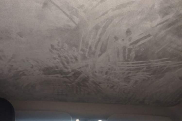 Used Tesla Model Y 2023 Rear-Wheel-Drive Version Headliner