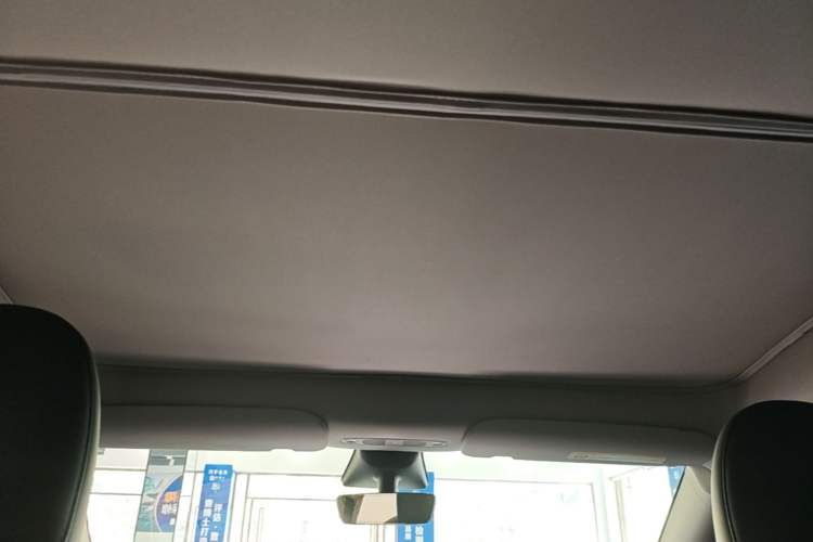 Used Tesla Model Y 2023 Rear-Wheel-Drive Version Headliner