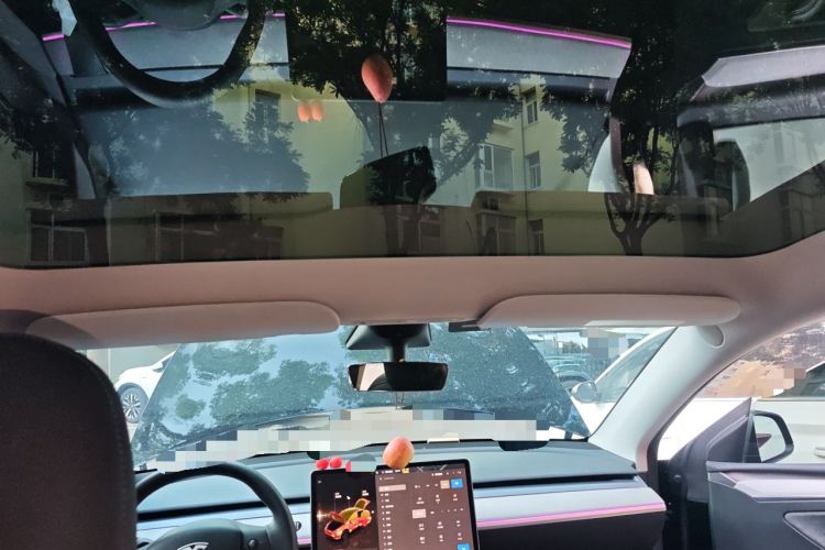 Used Tesla Model Y 2023 Long-Range All-Wheel-Drive Version Headliner