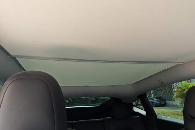 Used Tesla Model Y 2023 Rear-Wheel-Drive Version Headliner