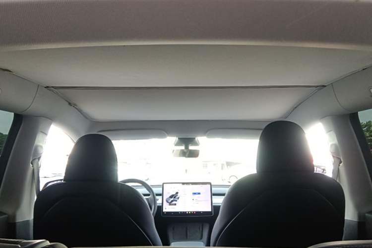 Used Tesla Model Y 2023 Rear-Wheel-Drive Version Headliner