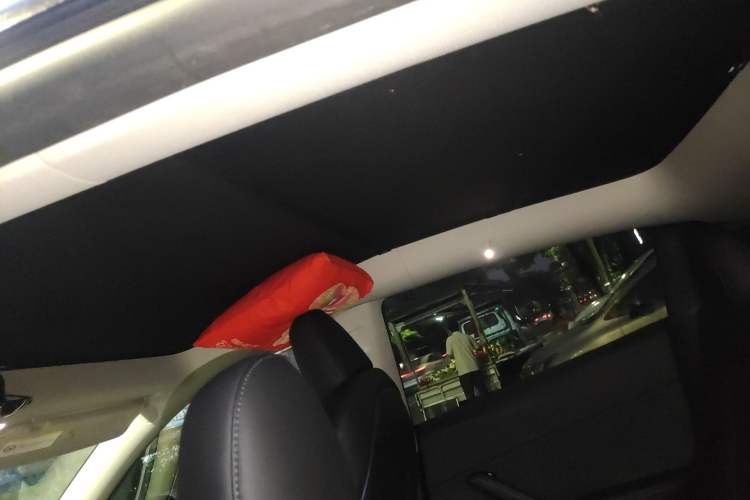 Used Tesla Model Y 2023 Long-Range All-Wheel-Drive Version Headliner
