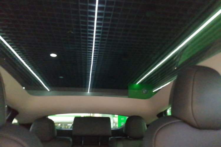 Used Tesla Model Y 2023 Long-Range All-Wheel-Drive Version Headliner