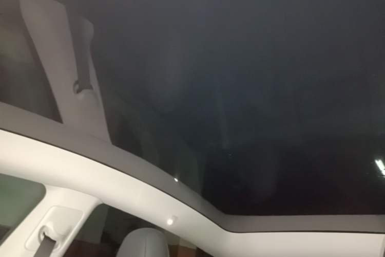 Used Tesla Model Y 2023 Rear-Wheel-Drive Version Headliner