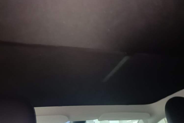 Used Tesla Model Y 2023 Long-Range All-Wheel-Drive Version Headliner