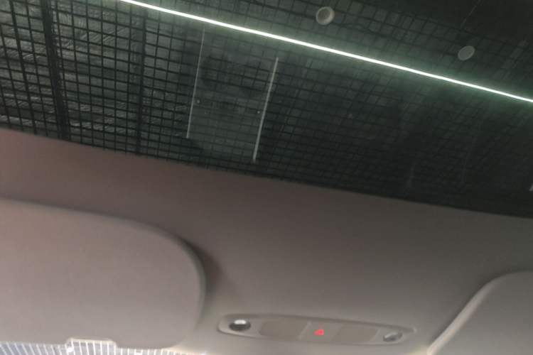 Used Tesla Model Y 2023 Rear-Wheel-Drive Version Headliner