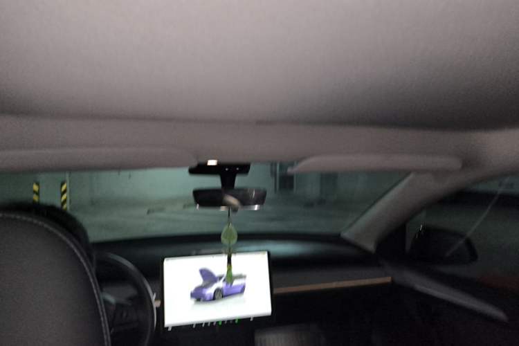 Used Tesla Model Y 2023 Rear-Wheel-Drive Version Headliner