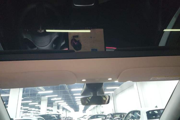 Used Tesla Model Y 2023 Rear-Wheel-Drive Version Headliner