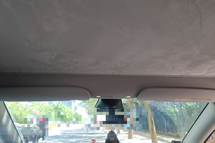 Used Tesla Model Y 2023 Rear-Wheel-Drive Version Headliner
