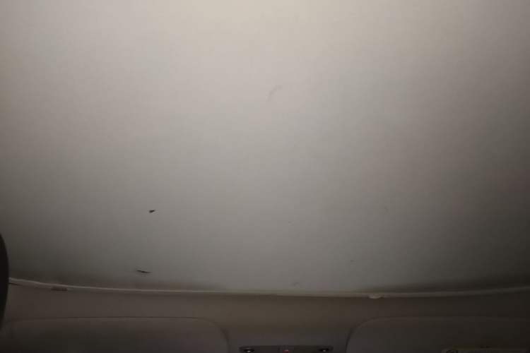 Used Tesla Model Y 2023 Rear-Wheel-Drive Version Headliner