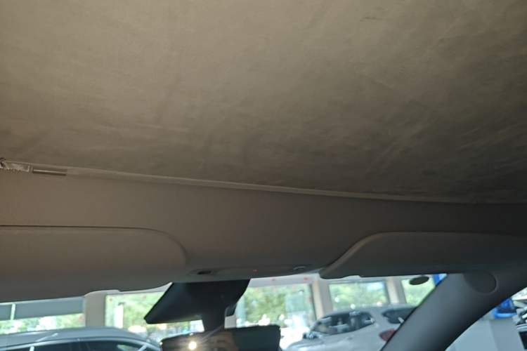 Used Tesla Model Y 2023 Rear-Wheel-Drive Version Headliner
