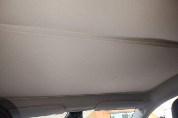 Used Tesla Model Y 2023 Long-Range All-Wheel-Drive Version Headliner